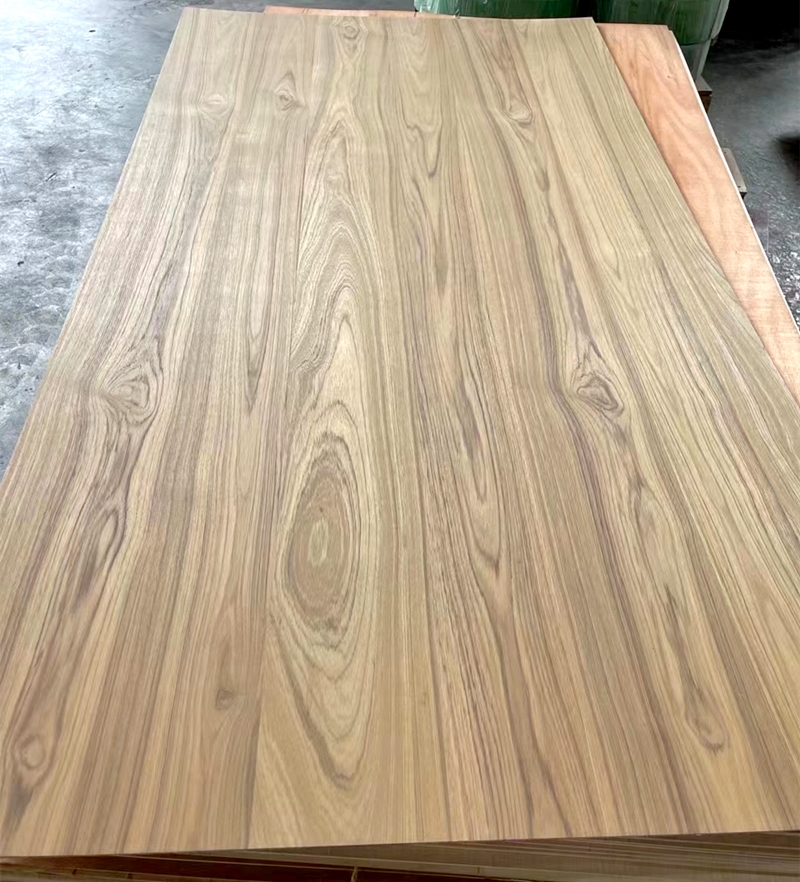 Maple Plywood