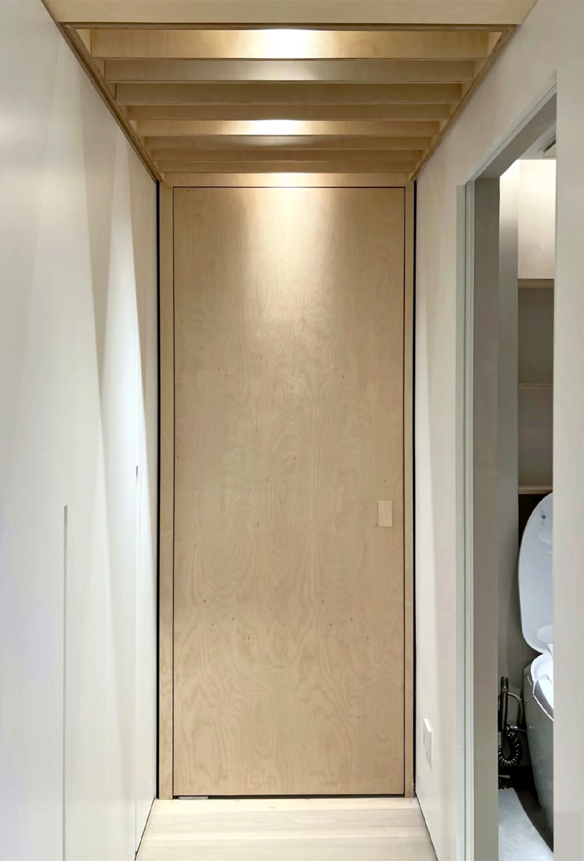 Plyboard Door