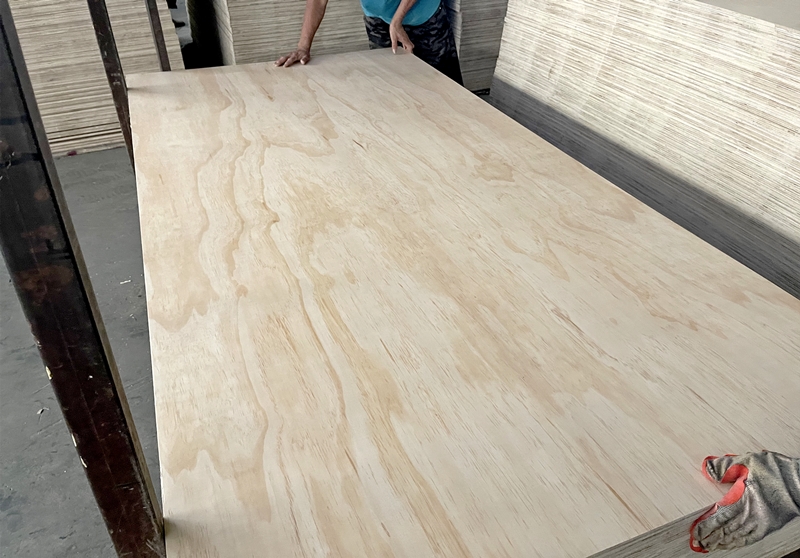 cdx sheathing plywood