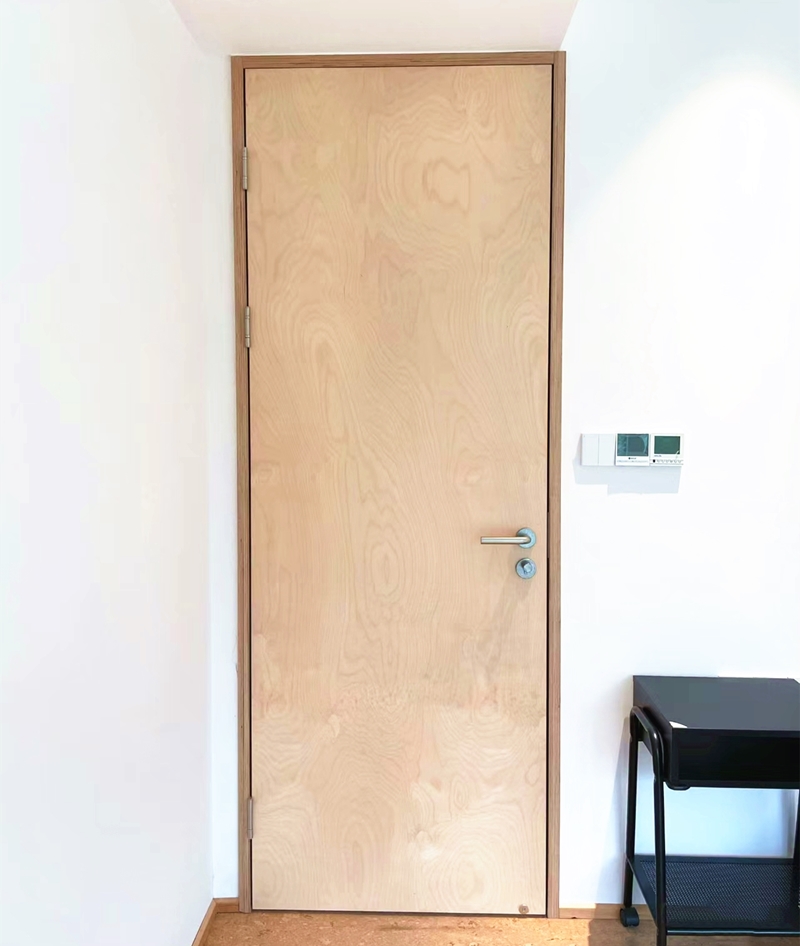 Modern Plywood Door